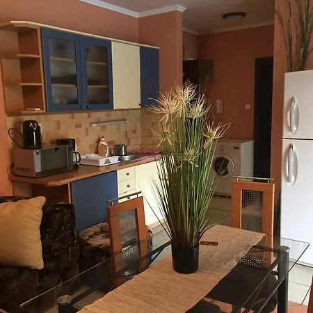 Apartment Balint 1 With Outdoor Pool *